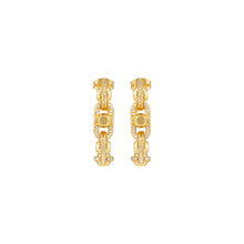 Load image into Gallery viewer, Michael Kors Premium Gold Tone Earring MKJ8407CZ710