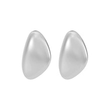 Load image into Gallery viewer, Michael Kors Premium Silver Tone Earring MKJ842000040