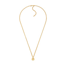 Load image into Gallery viewer, Michael Kors Premium Gold Tone Necklace MKJ8500710