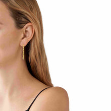 Load image into Gallery viewer, Michael Kors 14K Gold Sterling Silver Astor Link Drop Earrings MKC171000710