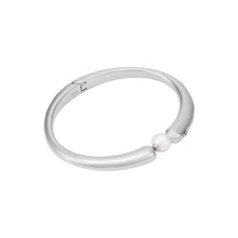 Load image into Gallery viewer, Emporio Armani Emporio Armani Silver-Tone Bracelet EGS3256040
