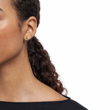 Load image into Gallery viewer, Emporio Armani Emporio Armani Gold-Tone Earring EGS3264710

