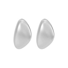 Load image into Gallery viewer, Michael Kors Premium Silver Tone Earring MKJ842000040
