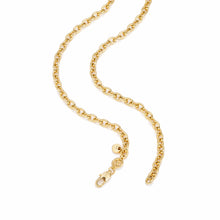 Load image into Gallery viewer, Michael Kors Premium Gold Tone Necklace MKJ8500710
