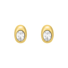 Load image into Gallery viewer, Michael Kors Premium Gold Tone Earring MKJ8553710

