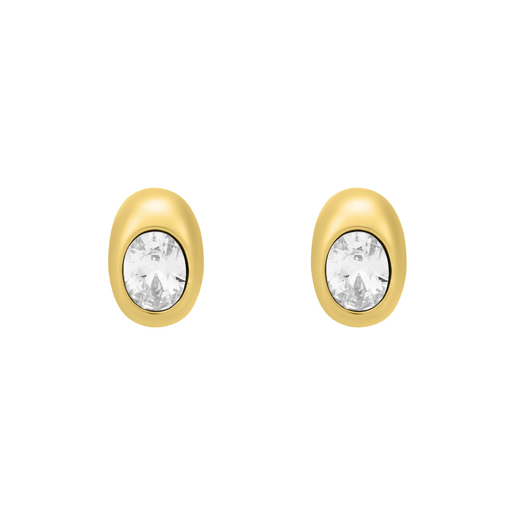 Michael Kors Premium Gold Tone Earring MKJ8553710