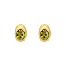 Load image into Gallery viewer, Michael Kors Premium Gold Tone Earring MKJ8554710
