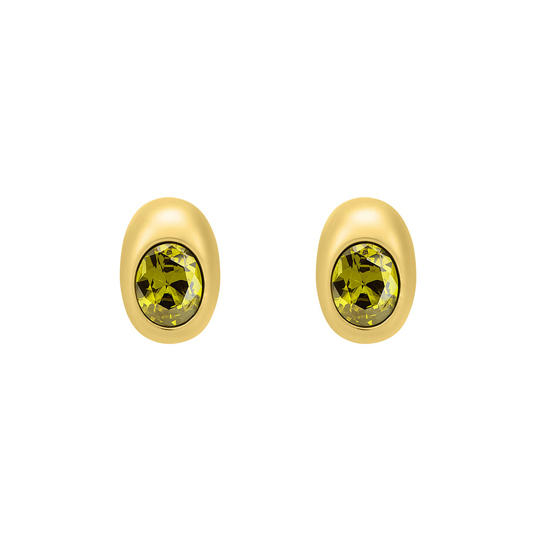 Michael Kors Premium Gold Tone Earring MKJ8554710