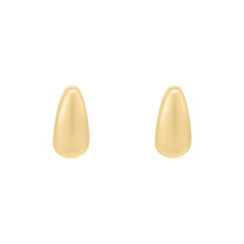 Load image into Gallery viewer, Michael Kors Premium Gold Tone Earring MKJ8579710
