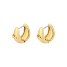 Load image into Gallery viewer, Michael Kors Premium Gold Tone Earring MKJ8579710
